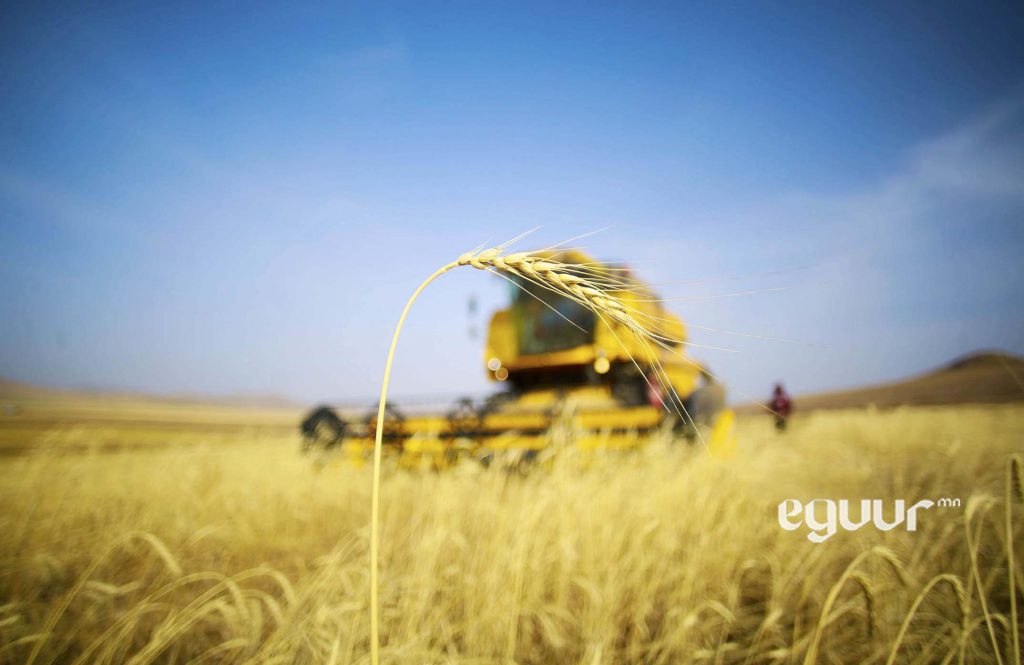 Тариалан эрхлэгч иргэн, ААН-үүдэд 6984 литр түлш олгоод байна