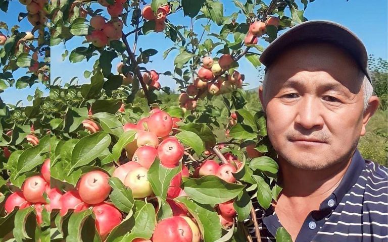 40 төрлийн жимсний мод, жимс ургуулдаг Д.Гансүх: Манай алим амт, үнэр ...