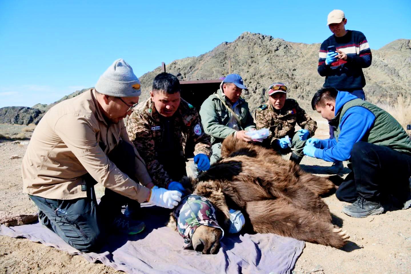 Мазаалайд сансрын дохиолол бүхий хүзүүвч зүүлээ